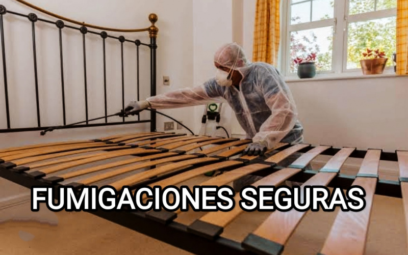 FUMIGACIONES ORIGINALES 2023