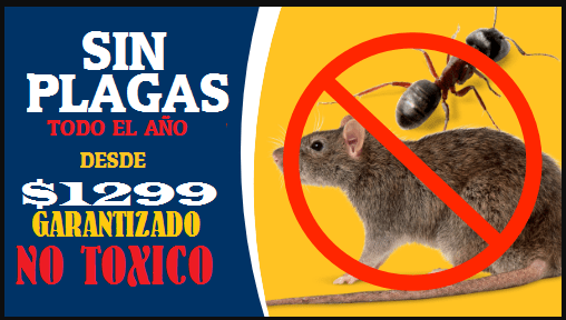 PROMO DE FUMIGACION