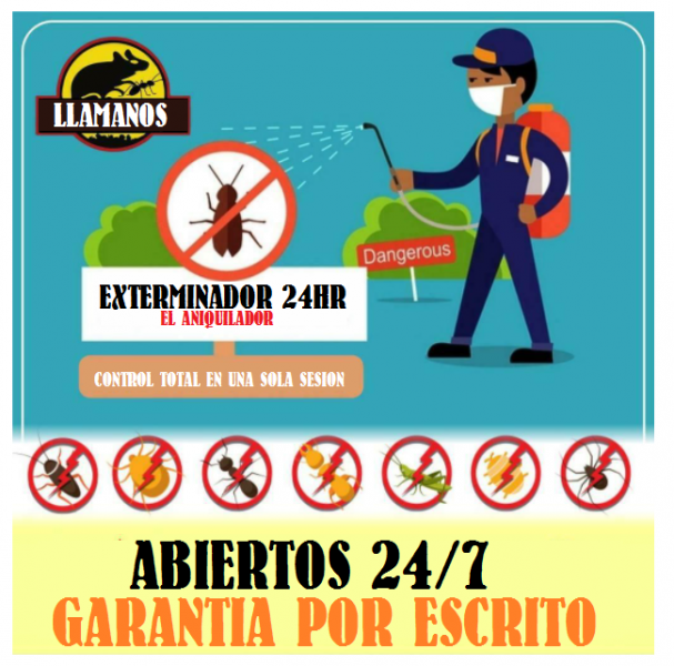 FUMIGACIONES ELIMINAR CHINCHES ENERO 2022