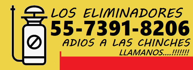 precio de fumigacion 2025