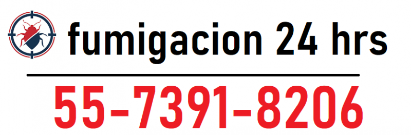 FUMIGACION 2026