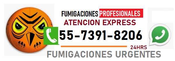 FUMIGACIONES DE CHINCHES